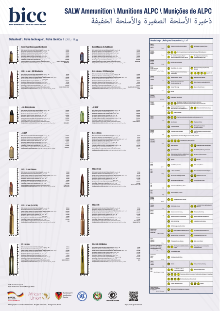 Ammunition